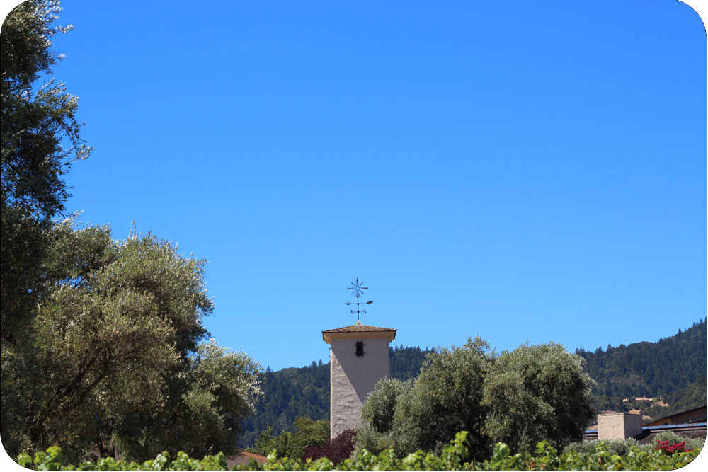 california_wine4