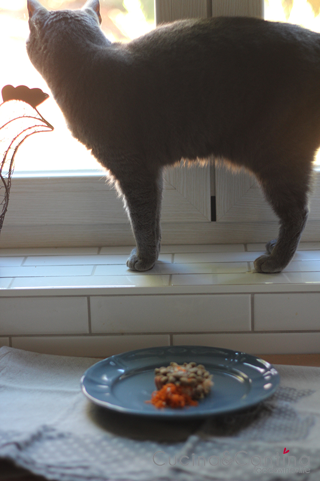 gatto_burger