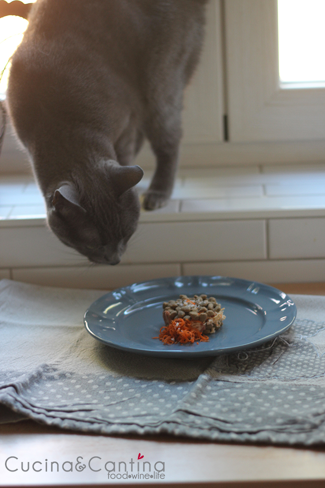 gatto_hamburger