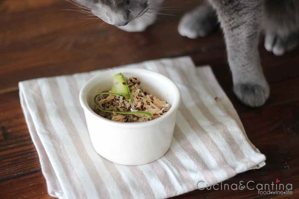 insalata_quinoa_pollo_gatti
