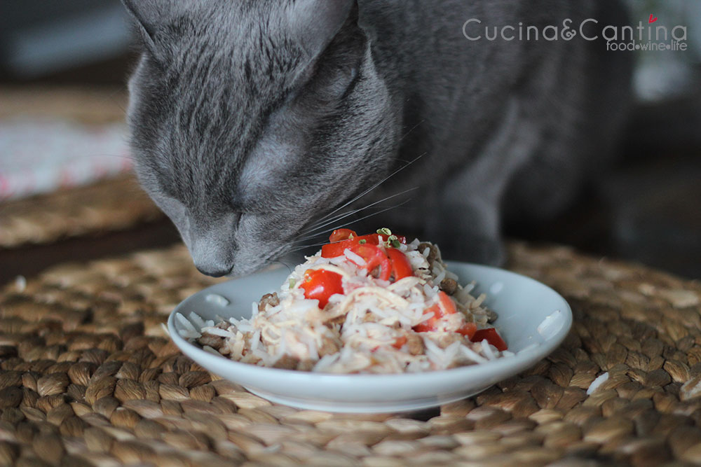 ricetta_riso_gatti